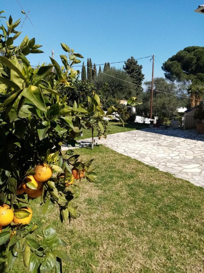 فيلا Lemoni Corfu House Achílleion المظهر الخارجي الصورة